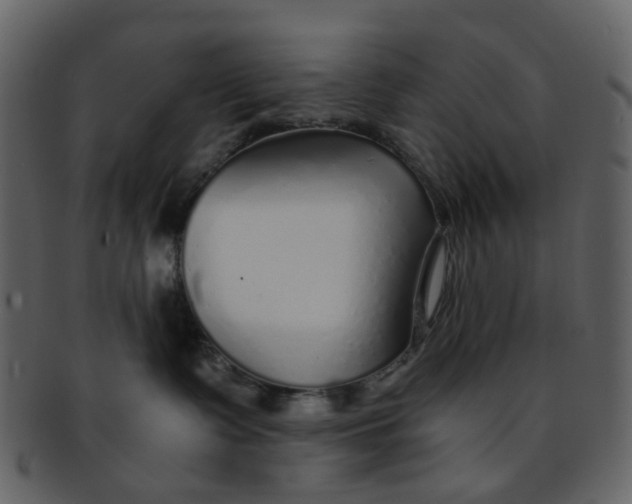 X0000093150335200710171356