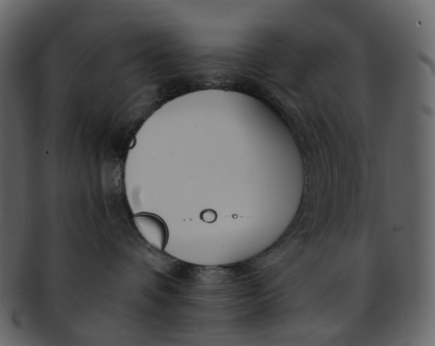 X0000093150336200710171356