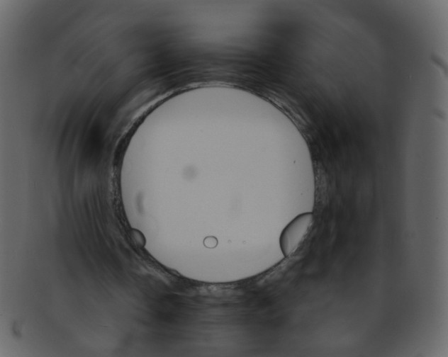 X0000093150338200710171355