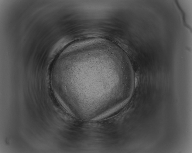 X0000093150339200710171355