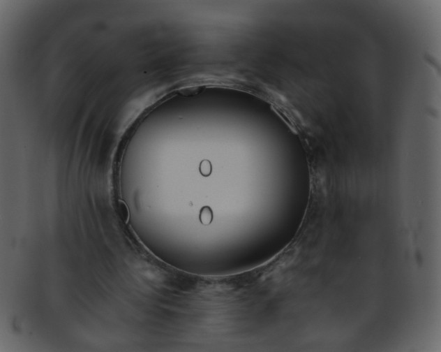 X0000093150340200710171355