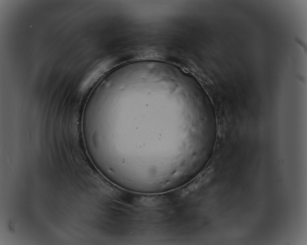 X0000093150341200710171355