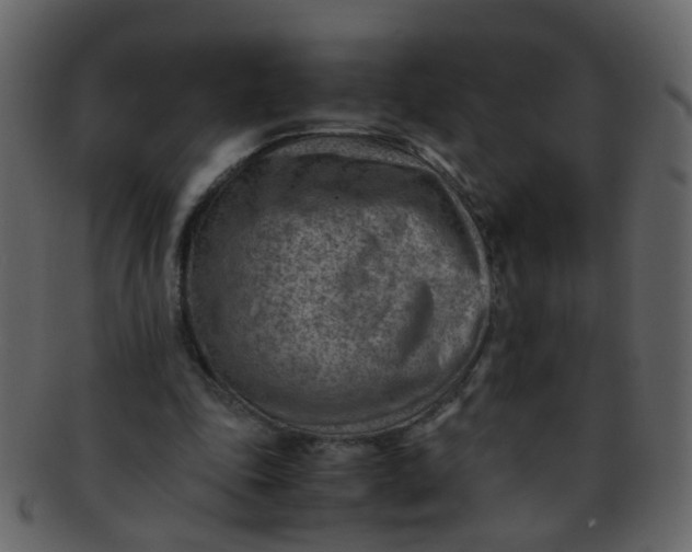 X0000093150343200710171355