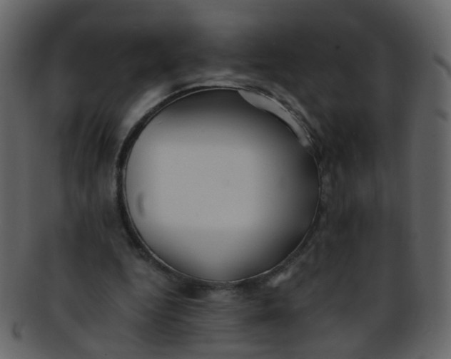 X0000093150344200710171355