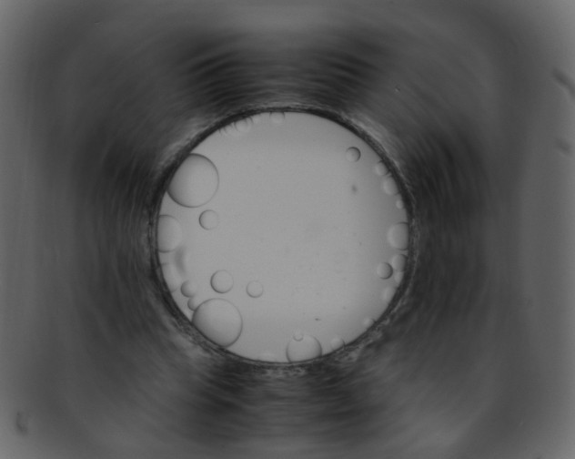 X0000093150345200710171355