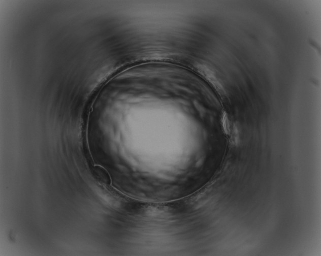 X0000093150346200710171355