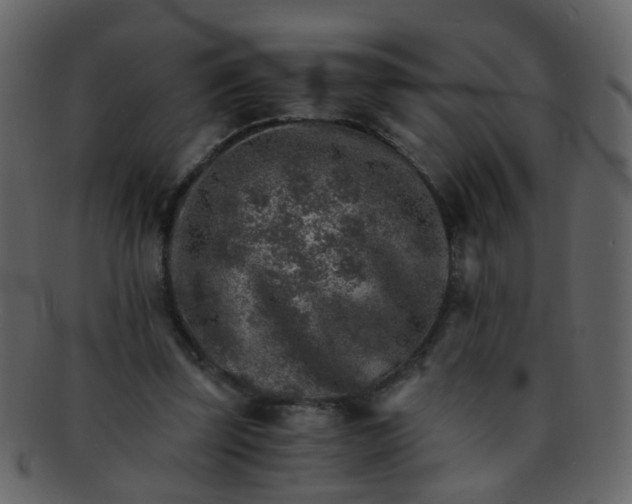 X0000093150347200710171355