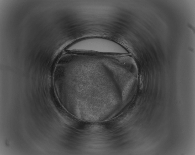 X0000093150348200710171355