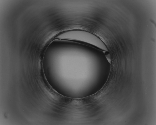 X0000093150350200710171355