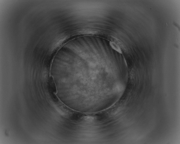 X0000093150352200710171355