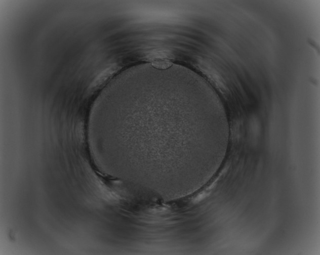 X0000093150353200710171355