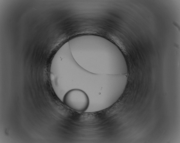 X0000093150354200710171355