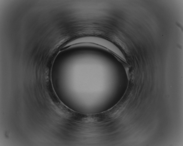 X0000093150356200710171355