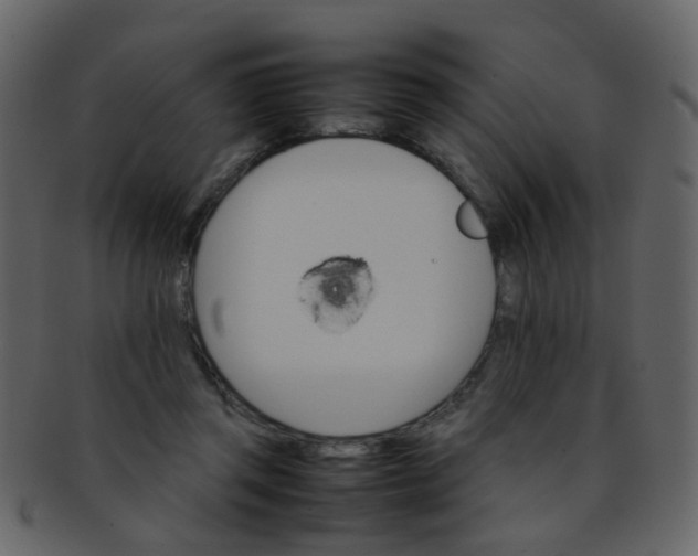 X0000093150357200710171355