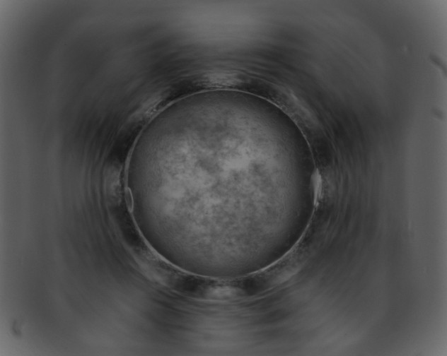 X0000093150360200710171355