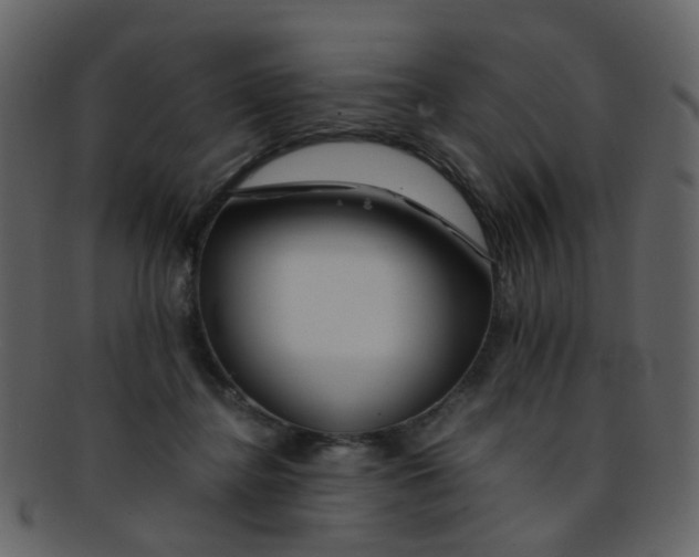 X0000093150364200710171355