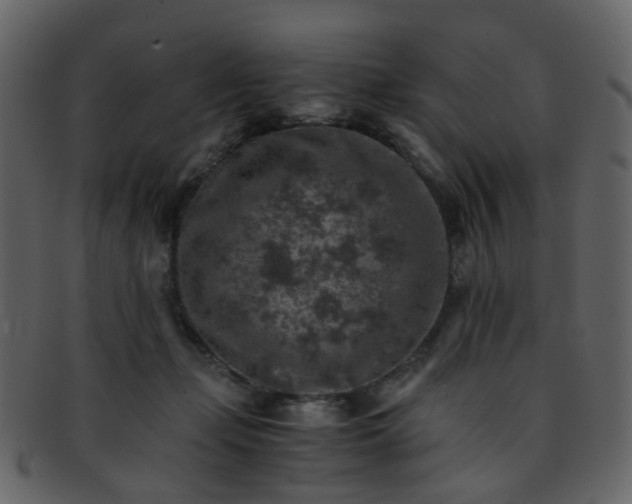 X0000093150365200710171355