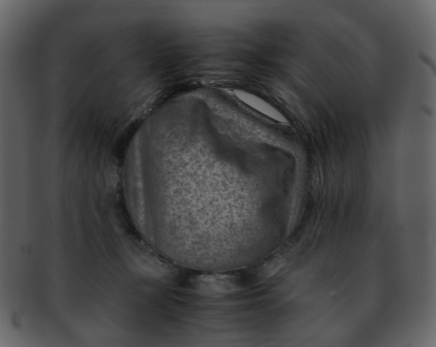 X0000093150367200710171355