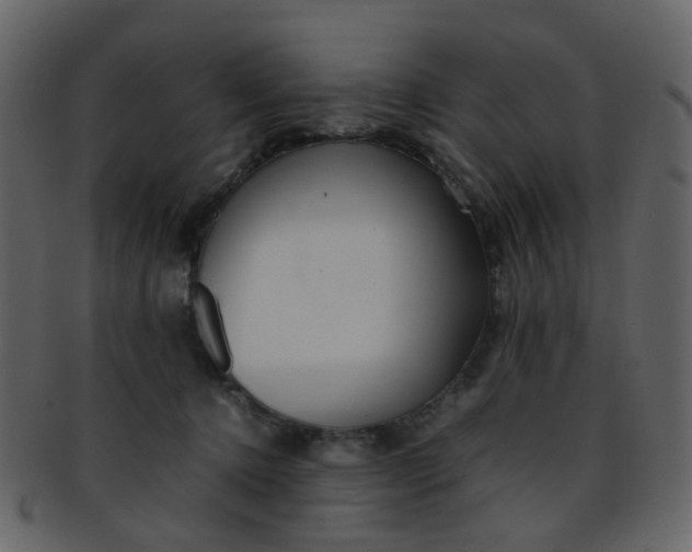 X0000093150368200710171355