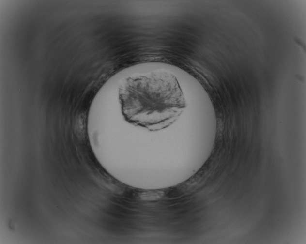 X0000093150373200710171356