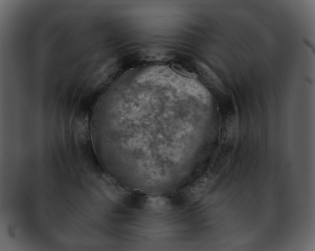 X0000093150376200710171356