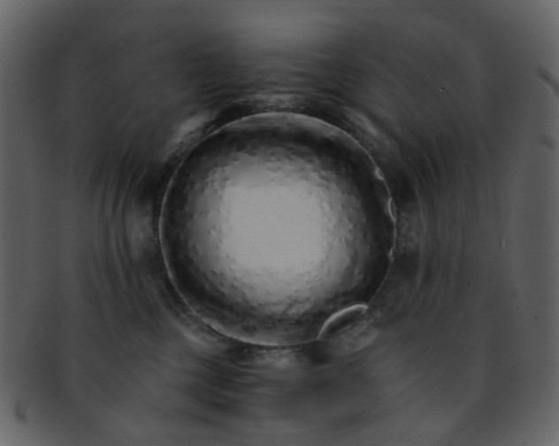 X0000093150377200710171356