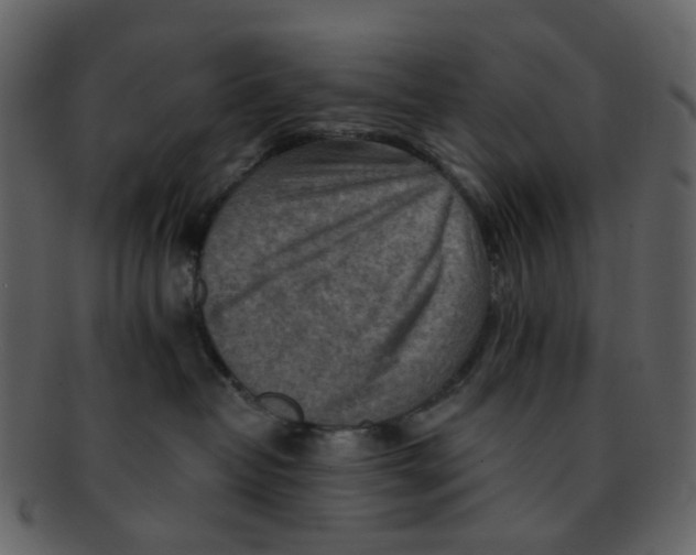 X0000093150382200710171356