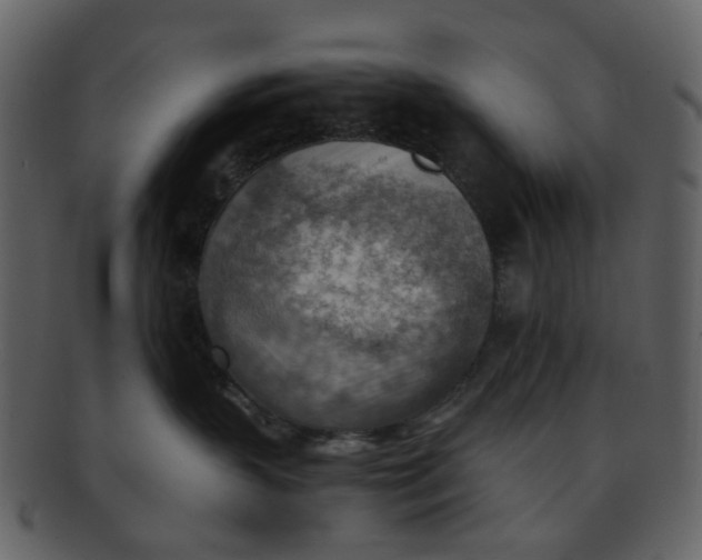 X0000093150383200710171356