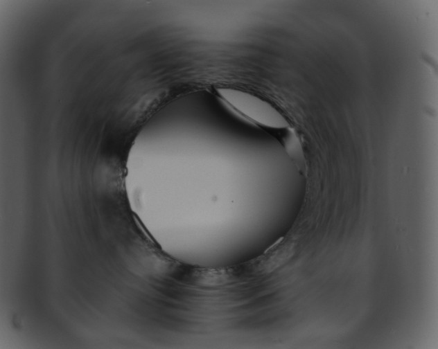 X0000093150384200710171356