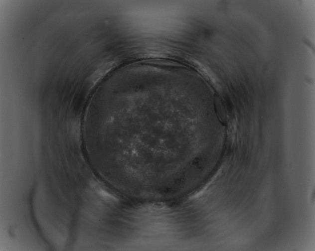 X0000093150386200710171355