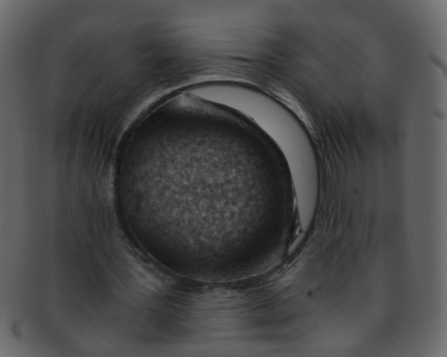 X0000093150387200710171355