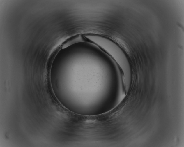 X0000093150388200710171355