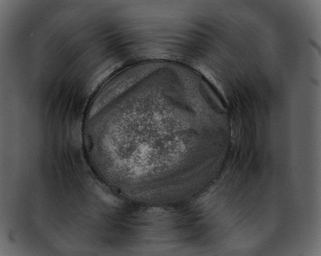 X0000093150390200710171355