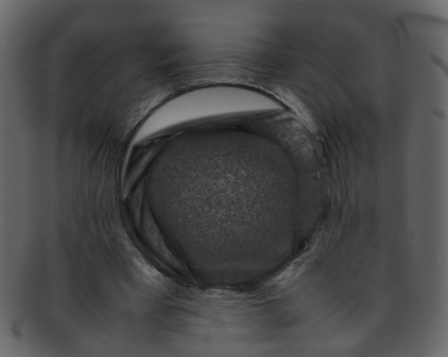 X0000093150393200710171355