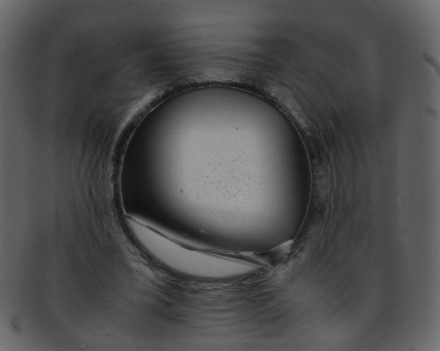 X0000093150395200710171355