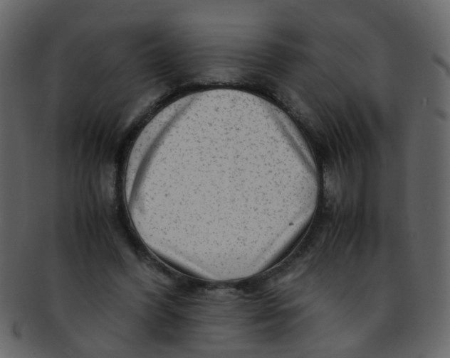 X0000093150396200710171355