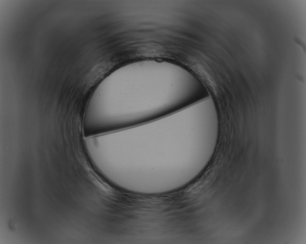 X0000093150397200710171355