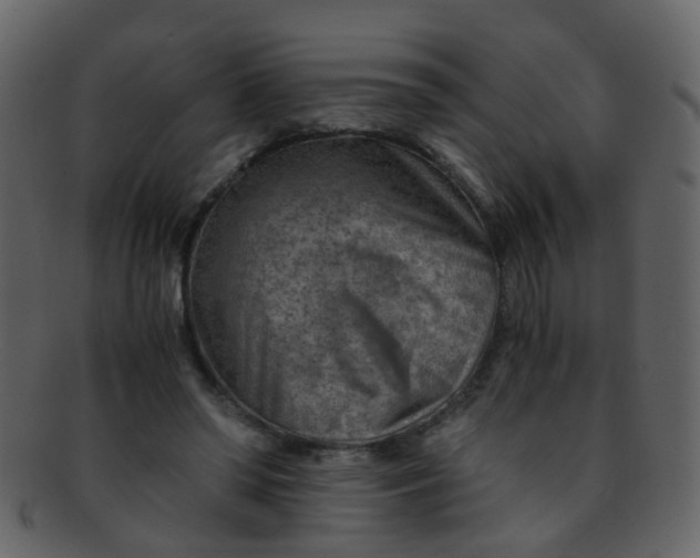 X0000093150398200710171355