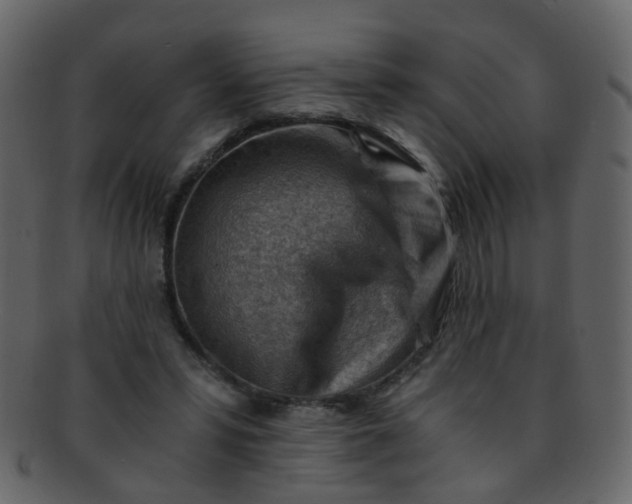 X0000093150399200710171355