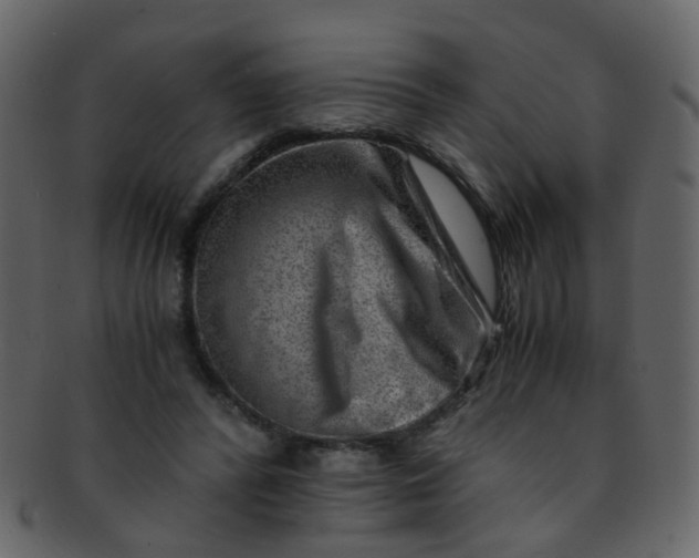 X0000093150400200710171355