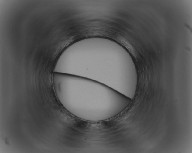 X0000093150401200710171355