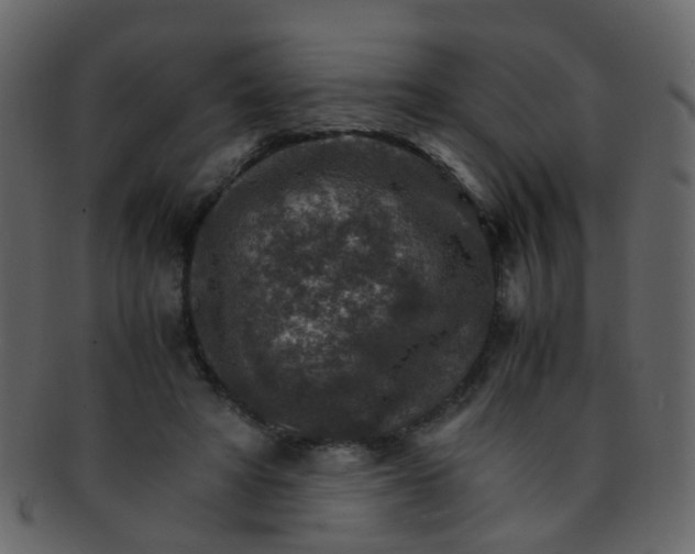 X0000093150402200710171355