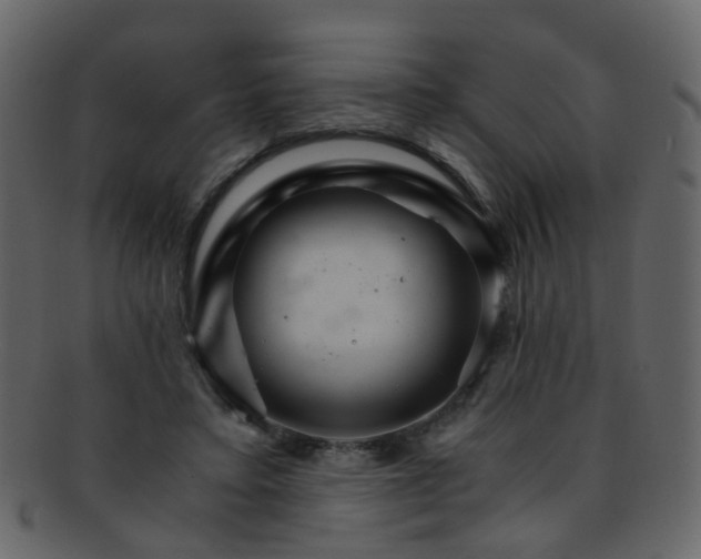 X0000093150403200710171355