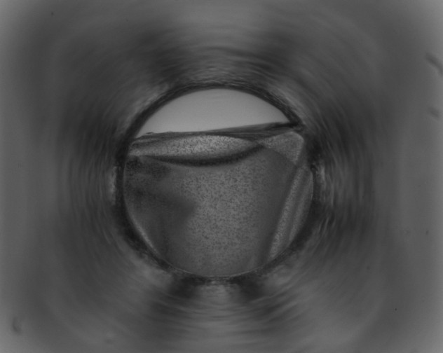 X0000093150404200710171355