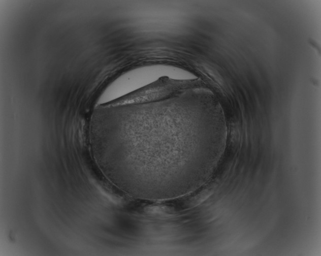 X0000093150408200710171355