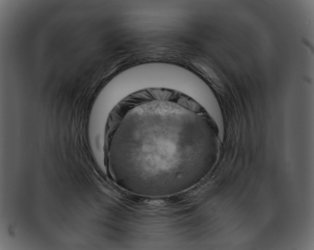 X0000093150409200710171355