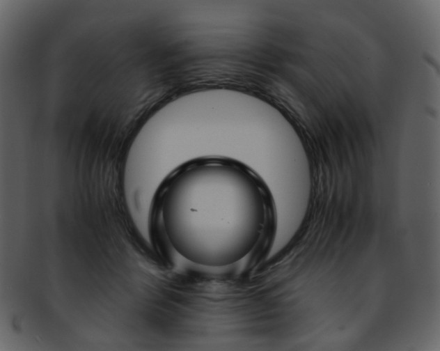 X0000093150412200710171355