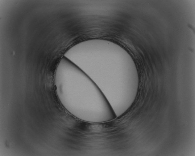 X0000093150413200710171355