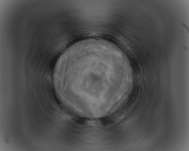 X0000093150415200710171355