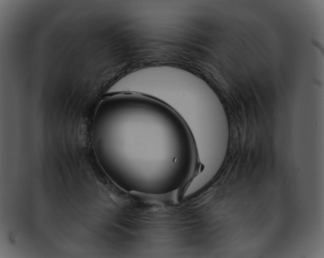 X0000093150416200710171355